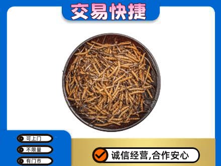 旬阳县高价回收散虫草